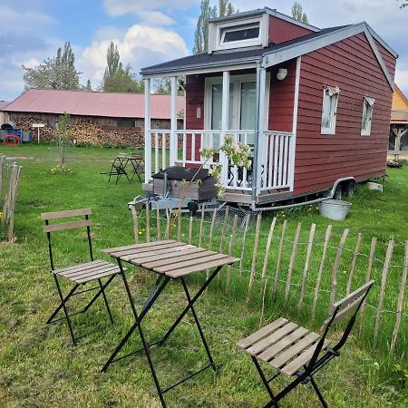 فيلا Tiny House Schonbeck  المظهر الخارجي الصورة
