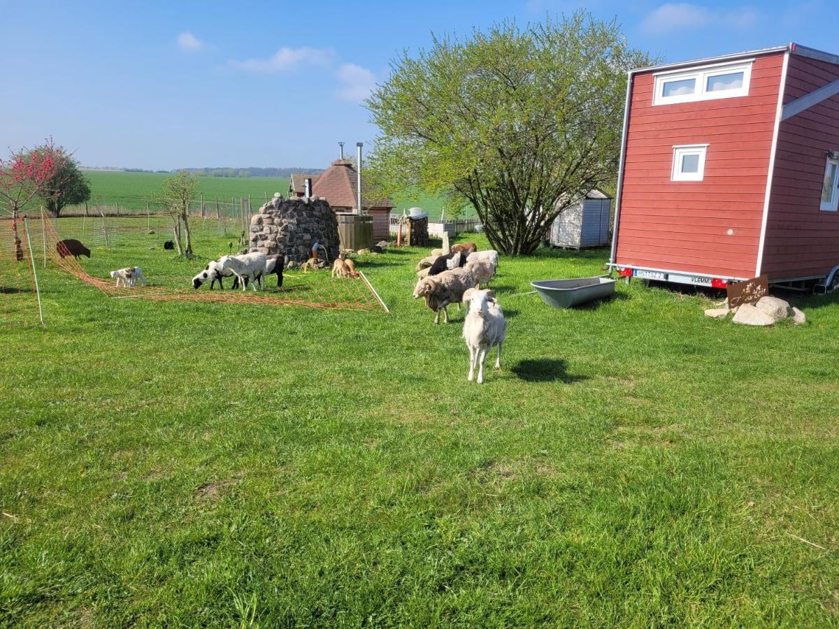 فيلا Tiny House Schonbeck  المظهر الخارجي الصورة